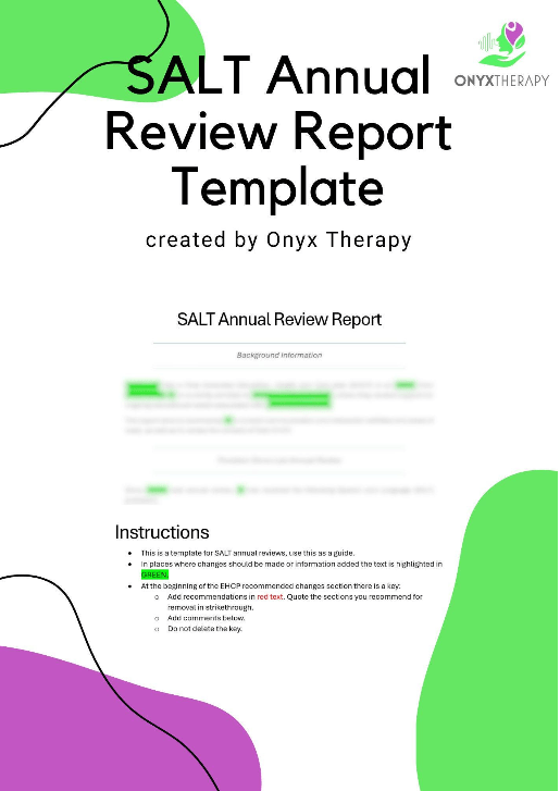 SALT Annual Review Report