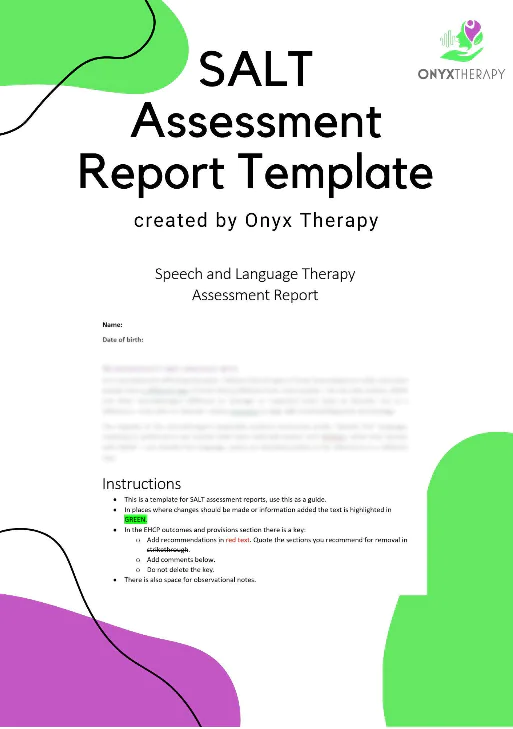 SALT Assessment Report